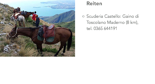 ﷯Reiten Scuderia Castello: Gaino di Toscolano Maderno (8 km), tel. 0365 644191 