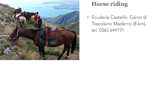 Horse riding﷯ Scuderia Castello: Gaino di Toscolano Maderno (8 km), tel. 0365 644191 